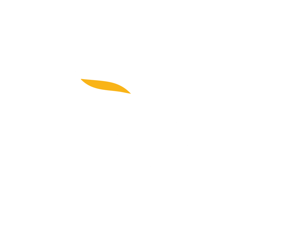 logo pegasso.png