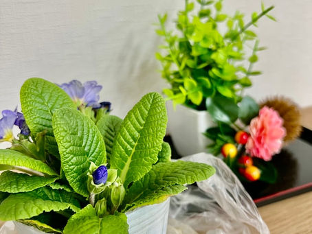 これからも頑張ります。