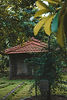 tambaal.jpg
