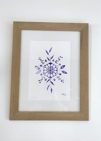 Fleur Coronale, 2024