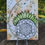 Miniature : Floraison Active -A6