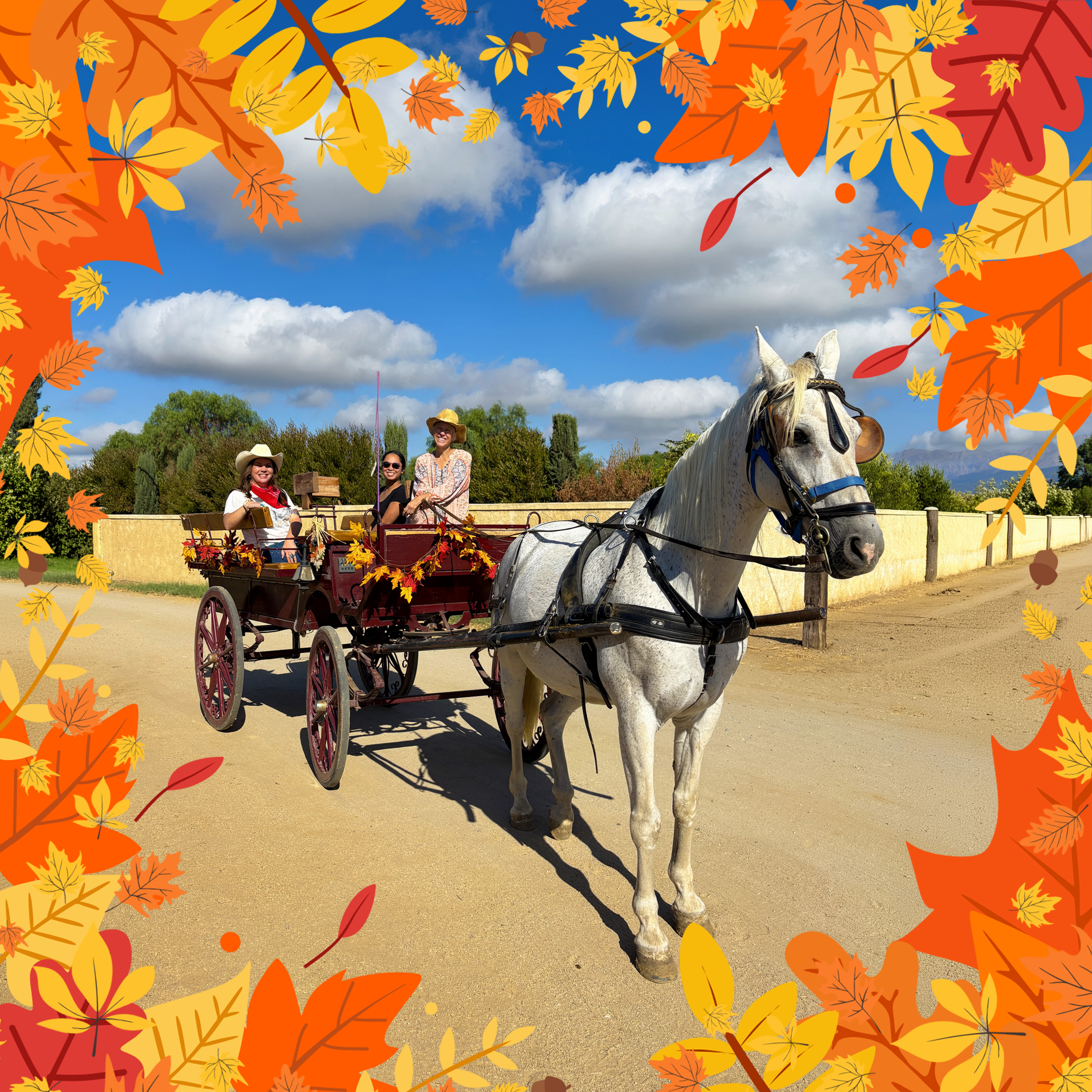 Fall Wagon Ride Item Image.jpg