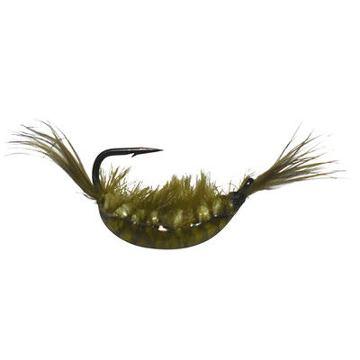 SHRIMP - OLIVE