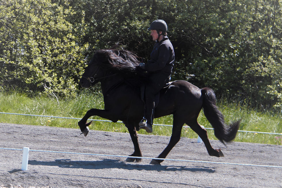 Svartur frá Skipaskaga