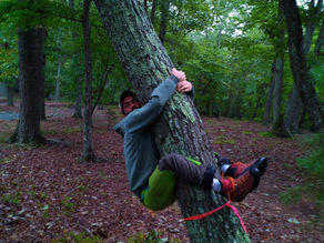 Happy little tree bros