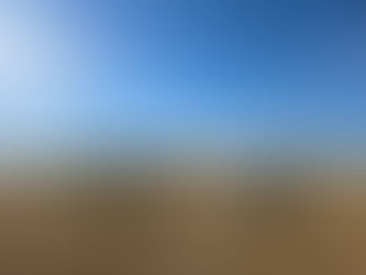 Follow Our Journey: A Dream Begins to Rise