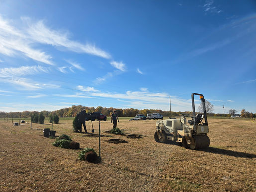 Follow Our Journey: A Dream Begins to Rise