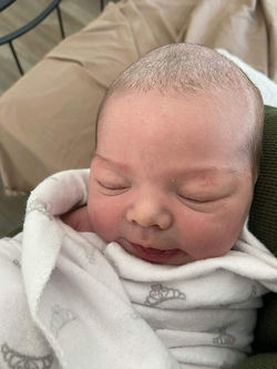 Harper Rose