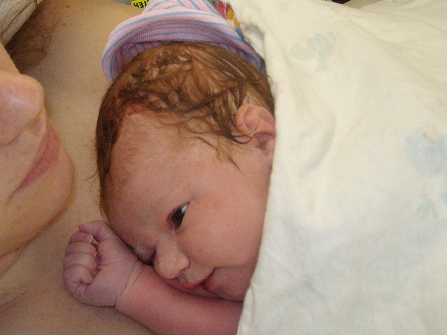 Scarlett Elloise