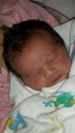 Matthew Mark