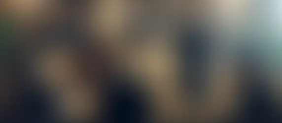 Revenus du capital et irrévocabilité de l'option pour le barème progressif