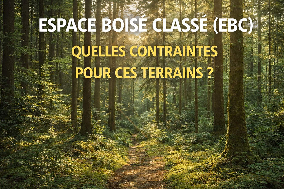 Espace boisé classé (EBC) : une protection d’urbanisme bien plus contraignante qu’on ne l’imagine