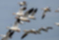 87109249_10222166621941661_1261348959016714240_o_edited_edited.jpg