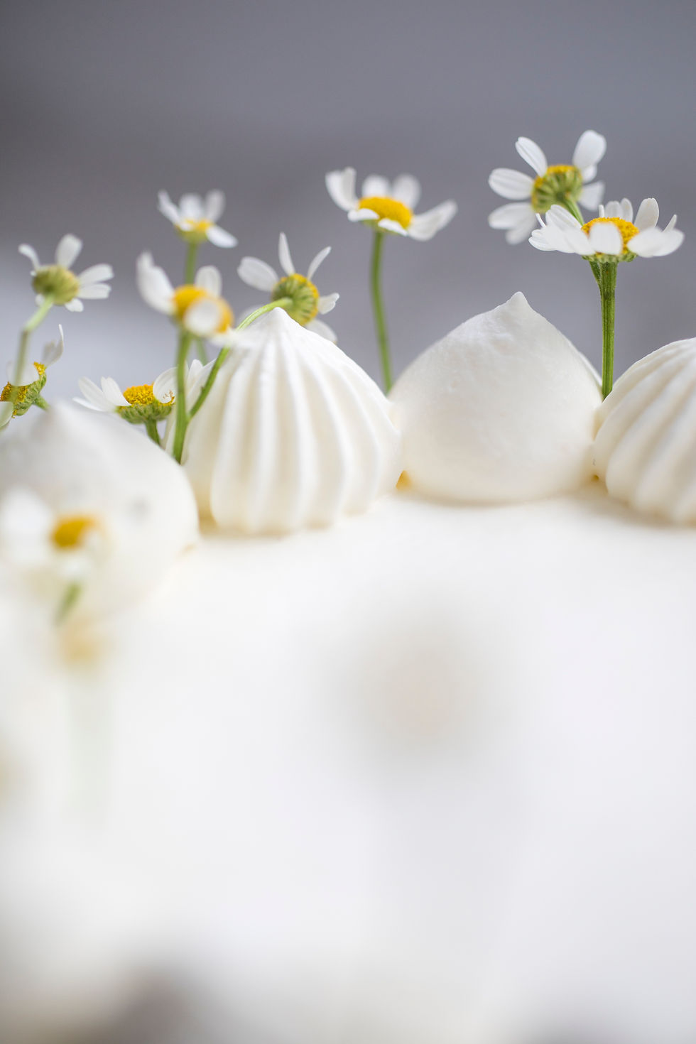 Thumbnail: Its All Coming Up Daisies