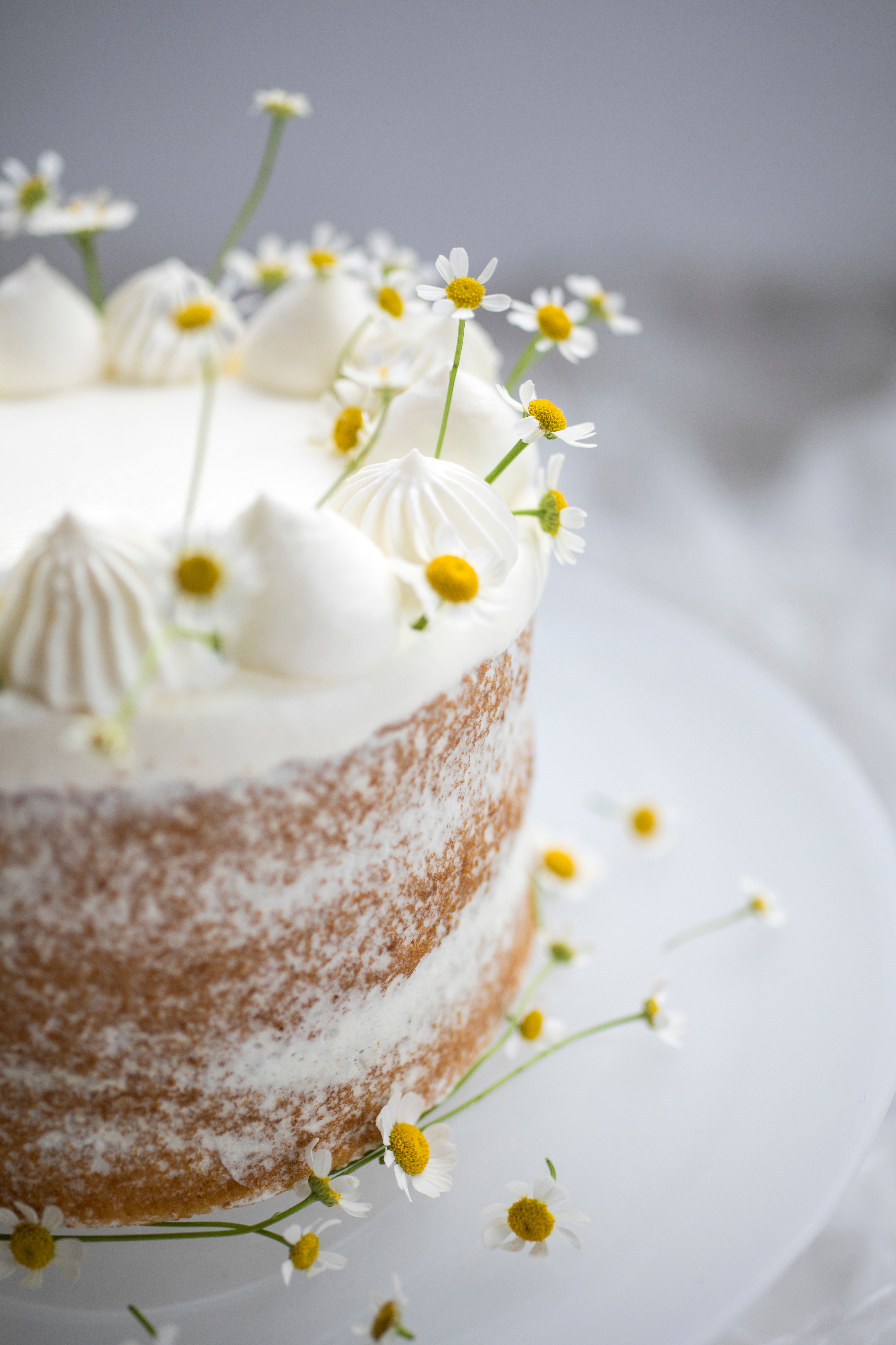 Its All Coming Up Daisies