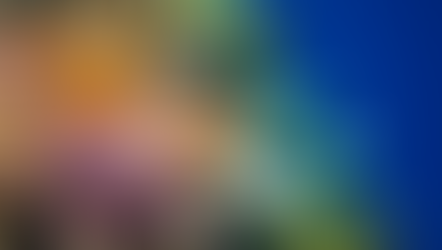 Four Reasons You Should Care About the TNFD