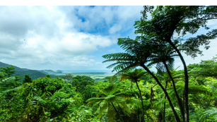 UN Goal 15 – Life on Land