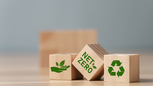 Net zero wooden dice