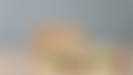 Net zero wooden dice