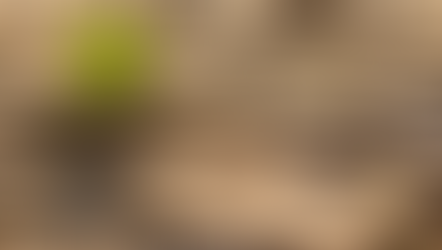 TCFD vs IFRS S2 Reporting