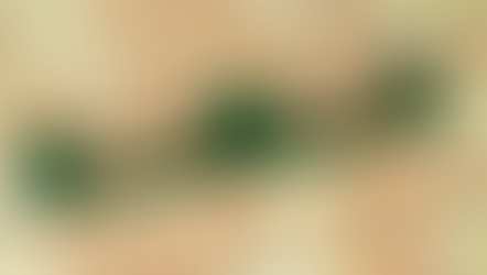 The words Oil and Gas in a Scrabble game