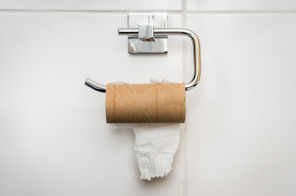 Out of options: an empty toilet paper roll on a gleaming holder highlights a common bathroom predicament.