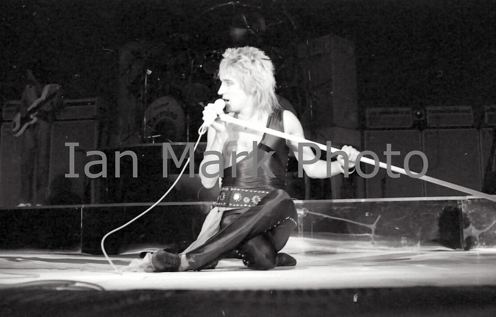 Rod Stewart 8X12 Photo