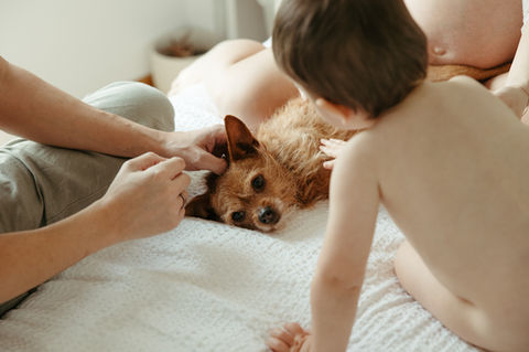 Sesión de fotos de familia, maternidad y embarazo en Vigo y Coruña. Galicia