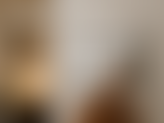 Choosing the Right Electric Switch Brand: What You Need to Know