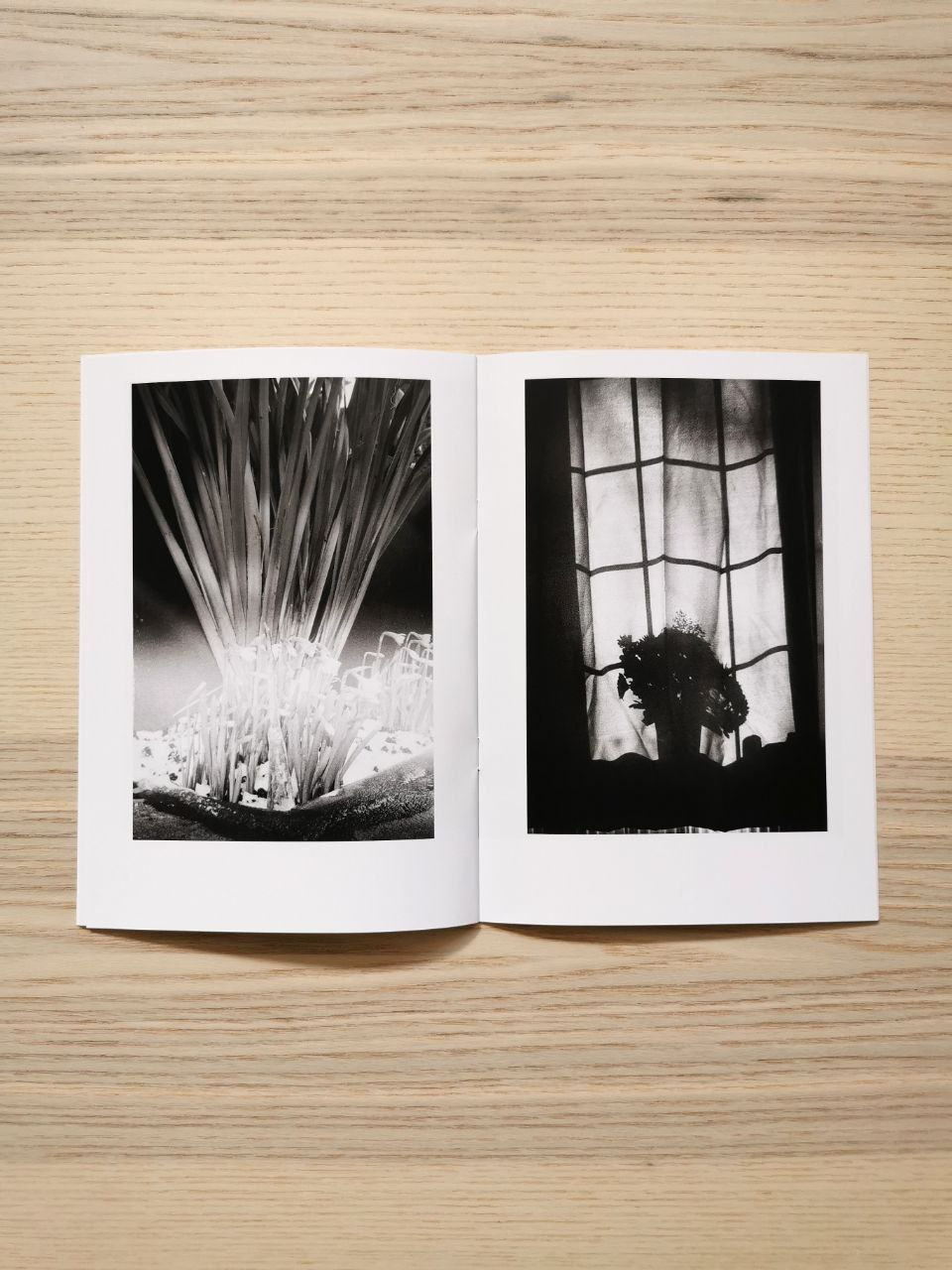 Thumbnail: Photo Zine - Memory of the eyes