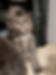MALE.HEIC