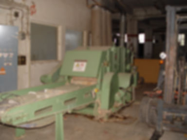 ROLANDO tearing machine