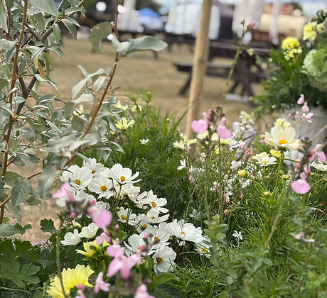 Show Border Rutland Flower Show