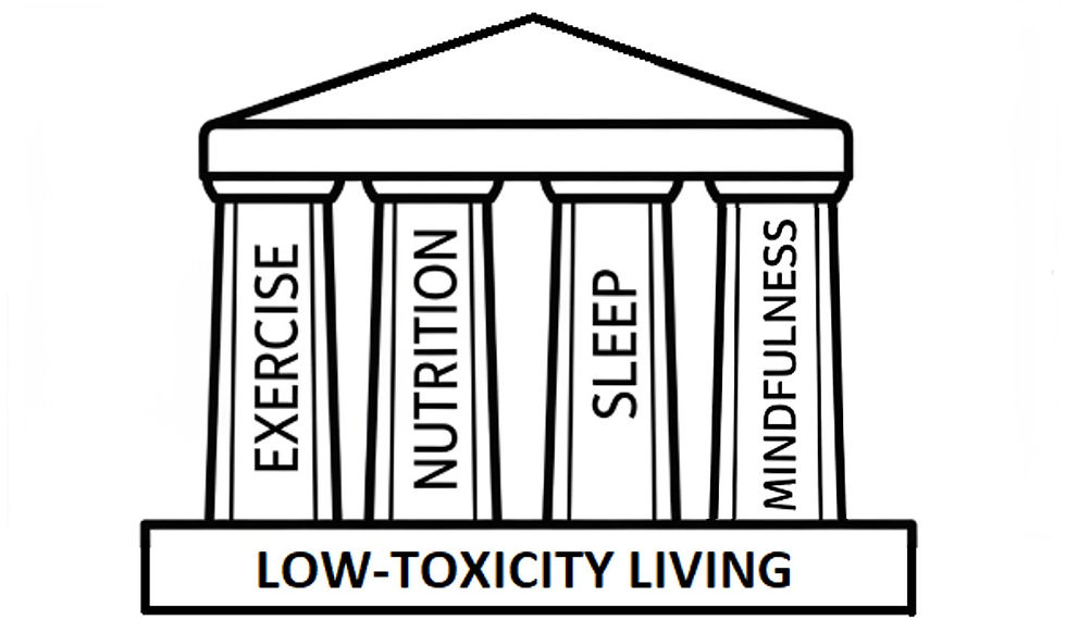 Four Pillars of Wellness