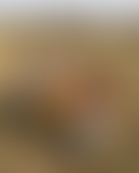 Halloween Traditions