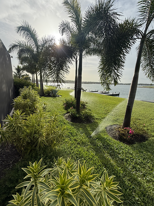 efficient irrigation system installation by HD Creations