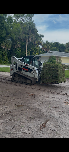 professional sod installation