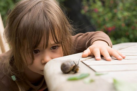 Boy (2-4) watching snail on garden table