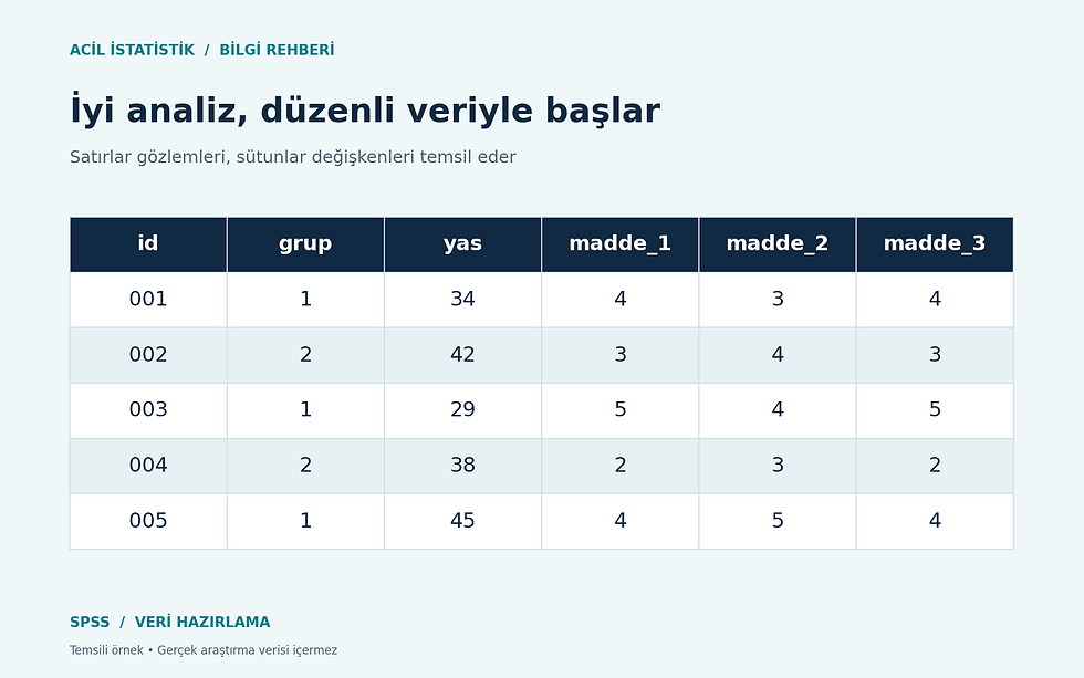 SPSS veri hazırlama için satır ve sütun düzenini gösteren temsili veri tablosu