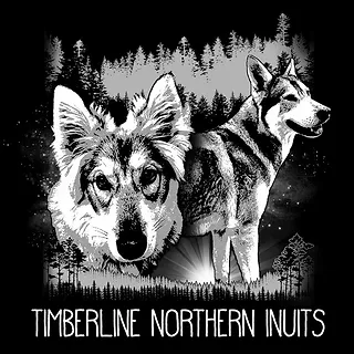 embers northern inuit