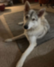 IMG_2807.jpeg