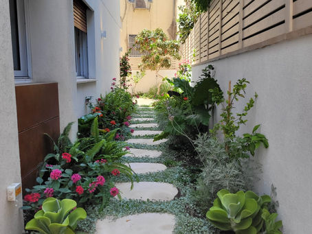 עיצוב ותחזוק גינות 