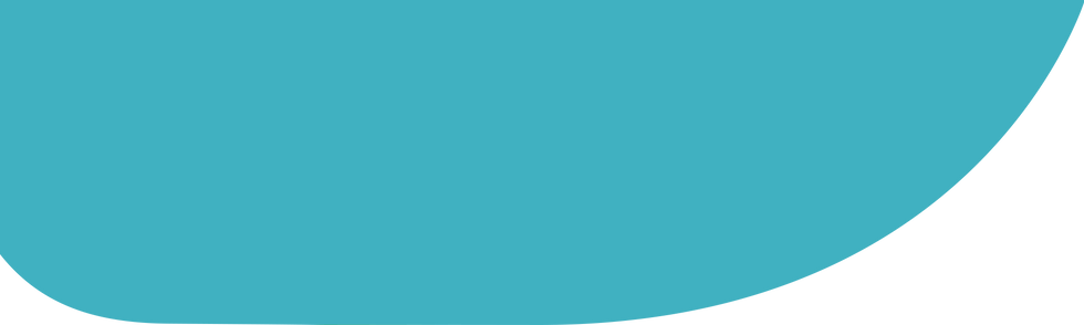 Website Strips-04.png