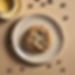 Chocolate Chip Cookie