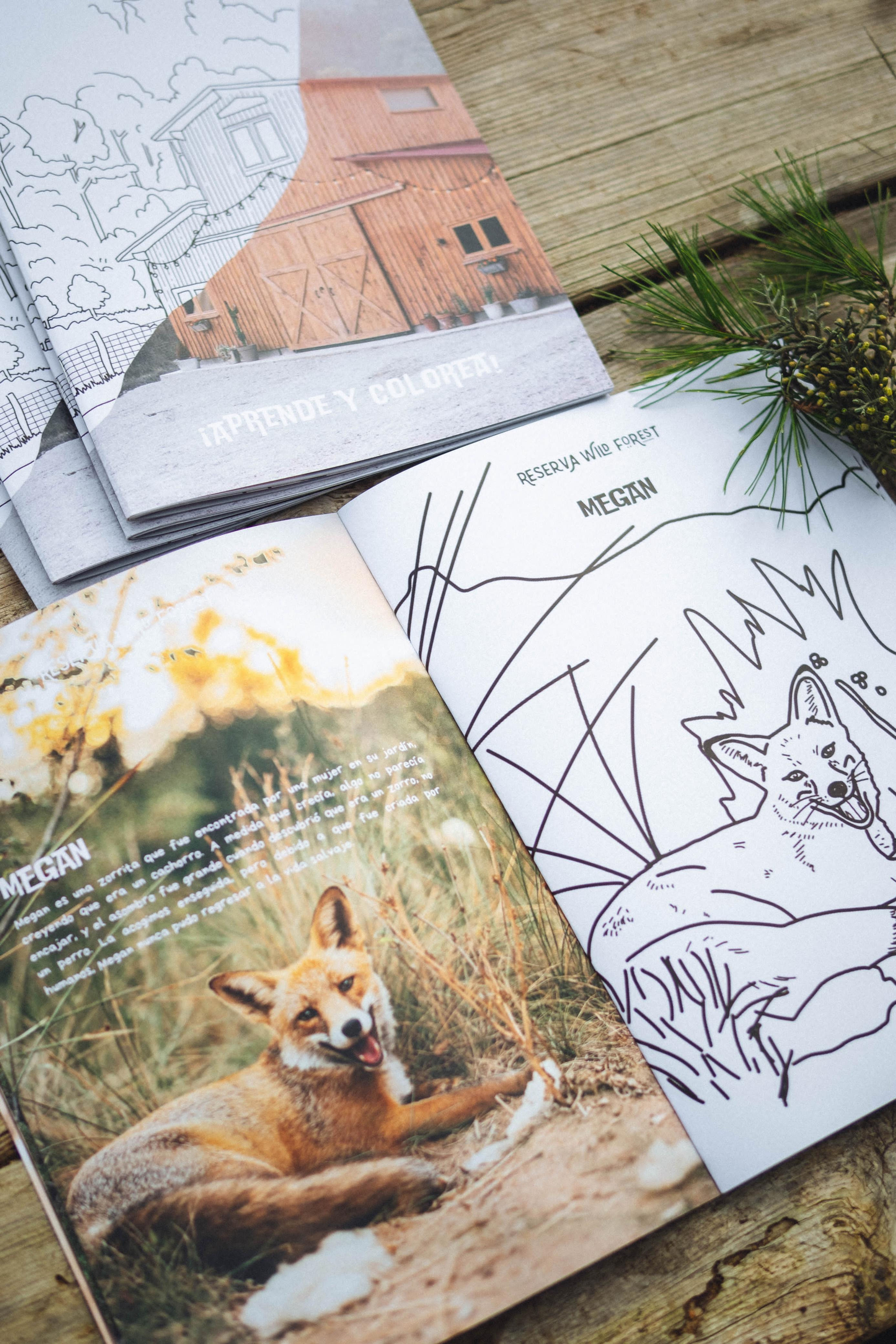 Cuaderno para colorear