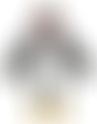 Penguin Denver Singing Telegram costume