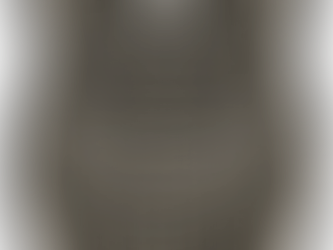 Inside the SPA: The Agency That Keeps the Rayneverse From Burning Down