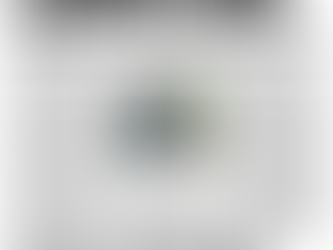 Lavagnese dal Grosseto: viaggio a vuoto e dispiacere.