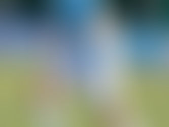 Calciomercato, Genovali parte e Guarco arriva.