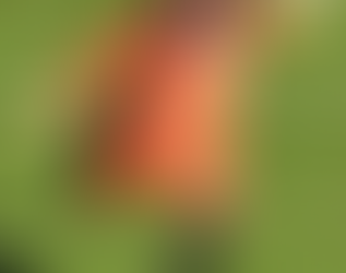 Calciomercato: due giovani per mister Tabbiani.